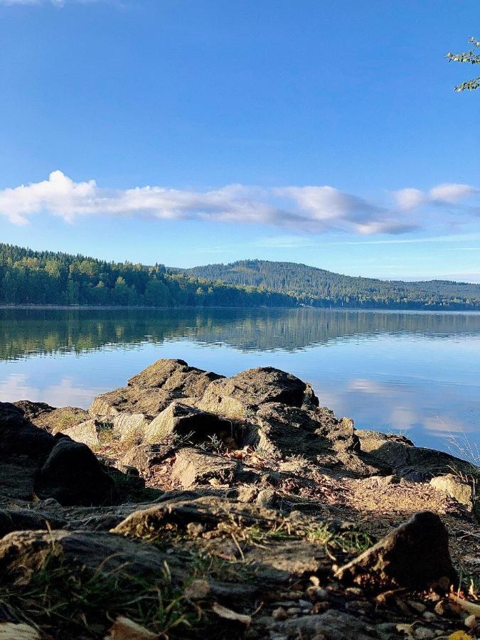 Apartman Riviera 41 Lipno nad Vltavou Bagian luar foto